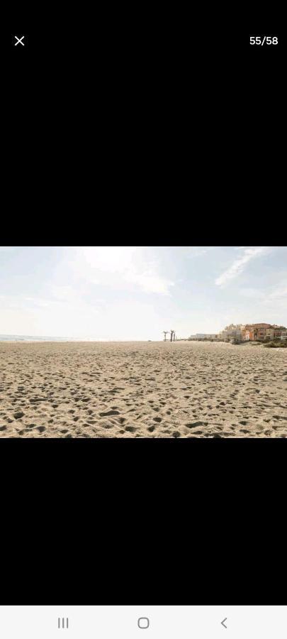 Villa 6 Couchages Spa Privatif, Acces Direct Mer, Piscine Le Barcarès Exteriér fotografie